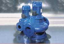 Extended cast iron in-line pump series