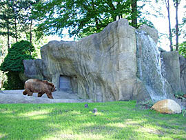 Für sauberes Wasser im Bärengehege – Jung Pumpen im Tierpark Hagenbeck