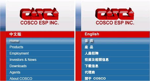 COSCO Publishes Chinese Web-Site