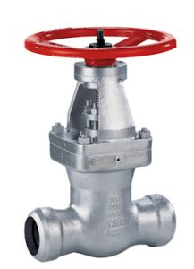 Valves for ANSI-compliant Power Plants
