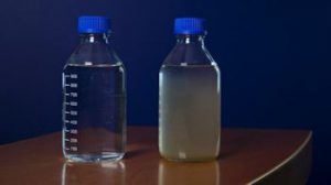 Sludge Cleans Waste Water in Singapore