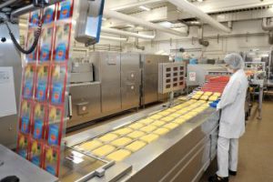 Central Vacuum Supply by Busch for Efficient Cheese Packaging