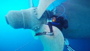 Wärtsilä Introduces the Wärtsilä Sternguard In-Water Serviceable Seal