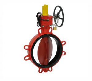 Butterfly Valve for Fire Protection Applications by KSB