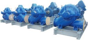 Dynapumps Supplied Process Water Pumps for Lithium Resources Project