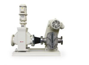 Combination of Macerator and Rotary Lobe Pump from Netzsch Enables Efficient Collagen Production