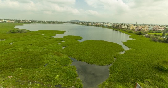 Cognizant e Grundfos si uniscono per ripristinare il lago Sembakkam