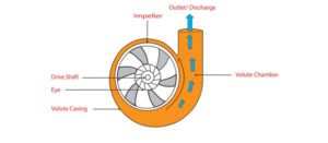 Éditorial: Comment choisir des bagues d’usure durables pour les pompes centrifuges