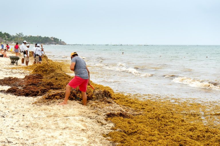 Environmental Crisis Looms in Latin America