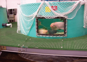 Finish Thompson Highlights Advanced Pump Solutions for Aquatic Life Applications