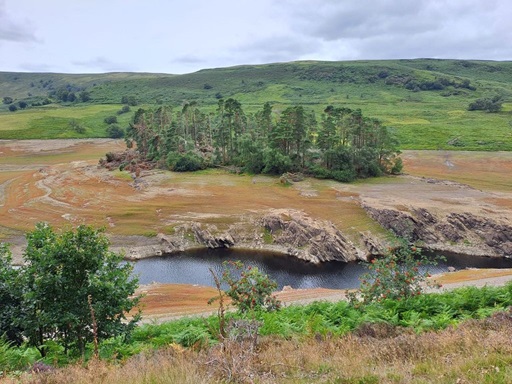 How Sustainable Drainage Can Boost Drought Resilience